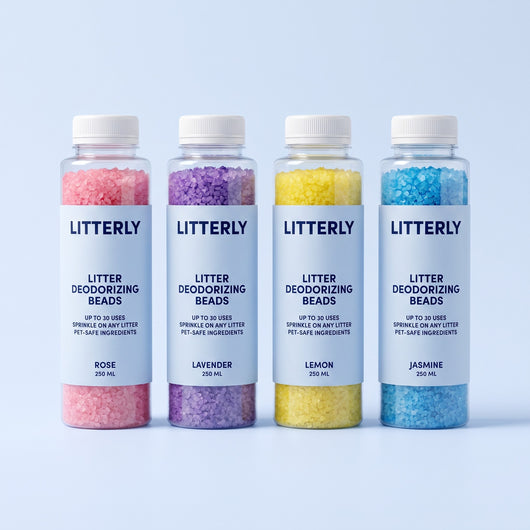 Litterly b-g5-lineup
