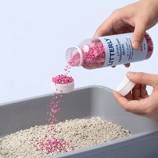 Sprinkle